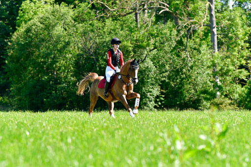 Goldene Schärpe Ponys in Hohen Luckow 1-4.6.23 | 04062023  Madison J Kirstein - Simba_06 