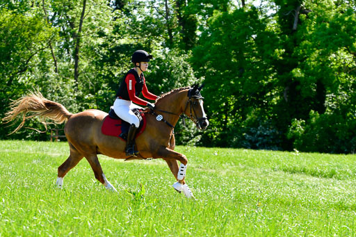 Goldene Schärpe Ponys in Hohen Luckow 1-4.6.23 | 04062023  Madison J Kirstein - Simba_10 