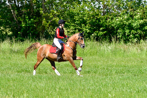 Goldene Schärpe Ponys in Hohen Luckow 1-4.6.23 | 04062023  Madison J Kirstein - Simba_11 
