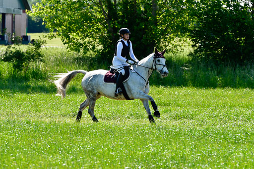  | 04062023  Marlene Mühlenbeck - Sweert Snail_04 