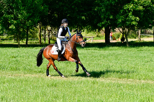 Goldene Schärpe Ponys in Hohen Luckow 1-4.6.23 | 04062023 Mathgilda van Dillen - Lichtenstein_12 