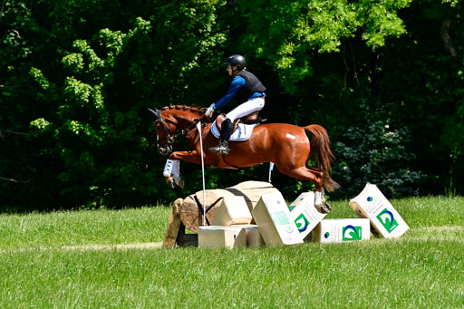 Goldene Schärpe Ponys in Hohen Luckow 1-4.6.23 | 04062023 Mathilda van Dillen - Lichtenstein_07 