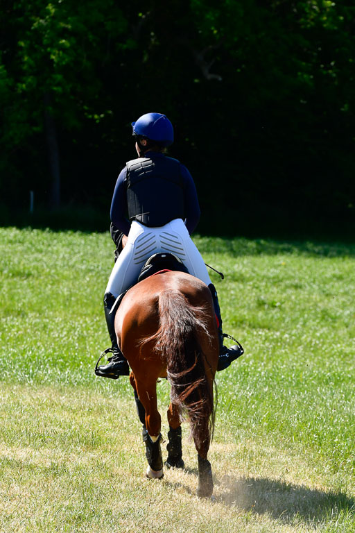 Goldene Schärpe Ponys in Hohen Luckow 1-4.6.23 | 04062023 Michelle John - Thedo _03 