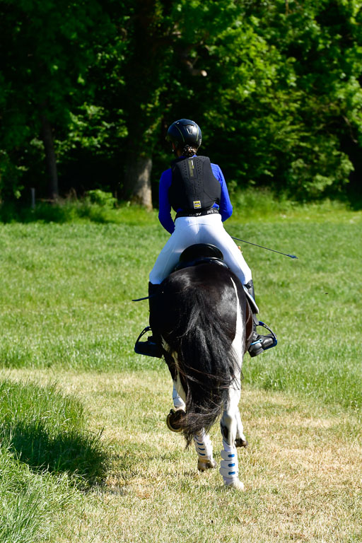 Goldene Schärpe Ponys in Hohen Luckow 1-4.6.23 | 04062023 Neele Eleen Albinus - Avalon_03 