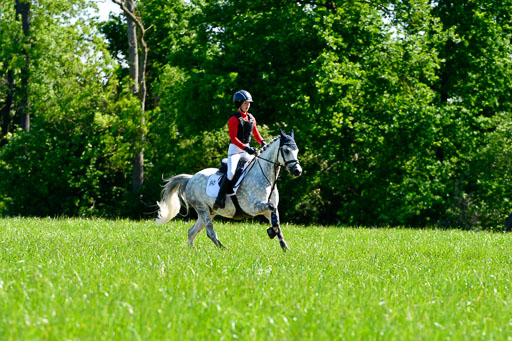 Goldene Schärpe Ponys in Hohen Luckow 1-4.6.23 | 04062023 Neele reineck - Fred_05 