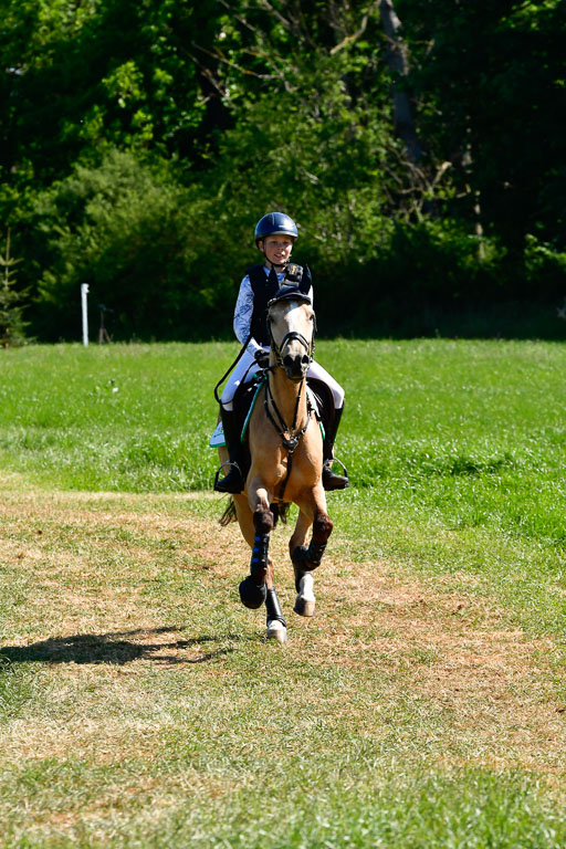 Goldene Schärpe Ponys in Hohen Luckow 1-4.6.23 | 04062023   Oscar Gündel - Gucci 