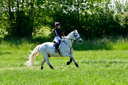Goldene Schärpe Ponys in Hohen Luckow 1-4.6.23 | 04062023 Romy Koch - Killacloran Cove_10 