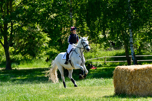 Goldene Schärpe Ponys in Hohen Luckow 1-4.6.23 | 04062023 Romy Koch - Killacloran Cove_15 