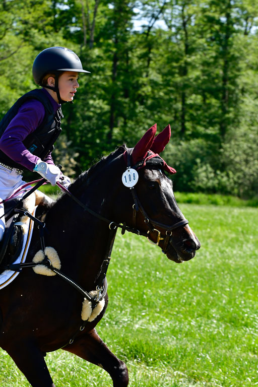 Goldene Schärpe Ponys in Hohen Luckow 1-4.6.23 | 04062023 Silvia Hofer - Ultima_03 