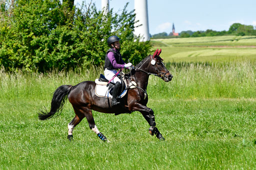 Goldene Schärpe Ponys in Hohen Luckow 1-4.6.23 | 04062023 Silvia Hofer - Ultima_07 