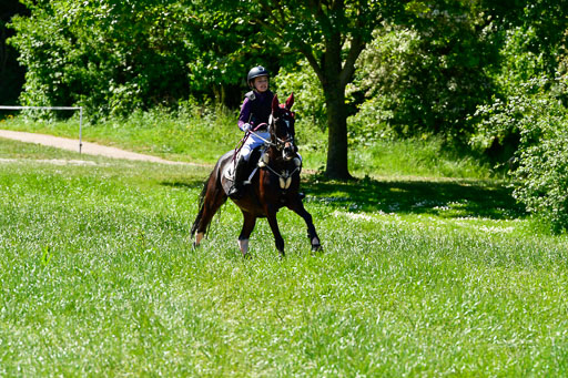 Goldene Schärpe Ponys in Hohen Luckow 1-4.6.23 | 04062023 Silvia Hofer - Ultima_09 