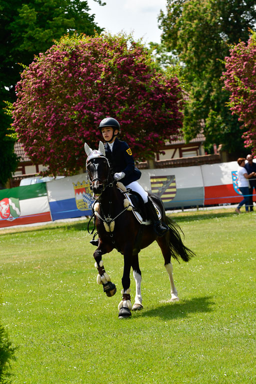 Goldene Schärpe Ponys in Hohen Luckow 1-4.6.23 | 04062023 Silvia Hofer - Ultima_20 