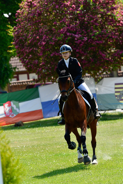 Goldene Schärpe Ponys in Hohen Luckow 1-4.6.23 | 04062023 Sophia Bußmann - El Pleasure_33 