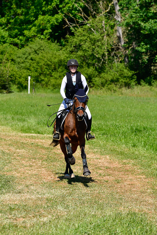 Goldene Schärpe Ponys in Hohen Luckow 1-4.6.23 | 04062023 Toni F Karthäuser - Nouvaliero 