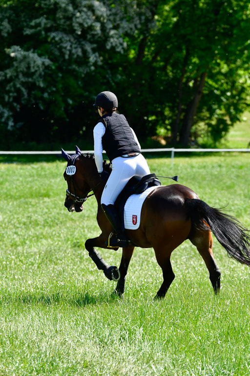 Goldene Schärpe Ponys in Hohen Luckow 1-4.6.23 | 04062023 Toni F Karthäuser - Nouvaliero_02 