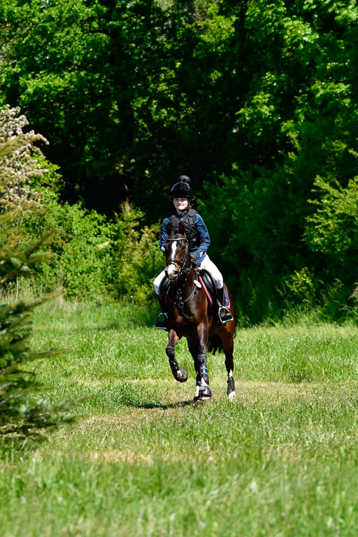 Goldene Schärpe Ponys in Hohen Luckow 1-4.6.23 | 04062023 Victoria Hey - Adelie 