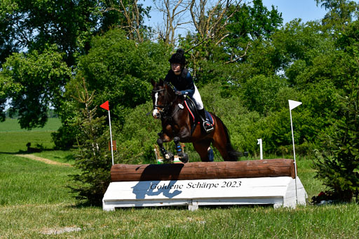 Goldene Schärpe Ponys in Hohen Luckow 1-4.6.23 | 04062023 Victoria Hey - Adelie_01 