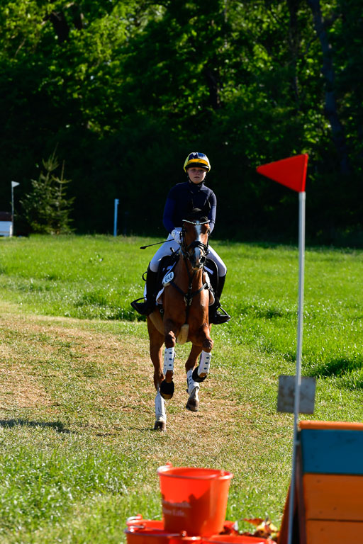 Goldene Schärpe Ponys in Hohen Luckow 1-4.6.23 | 04062023 Viola Ahlf - Feine Perle 