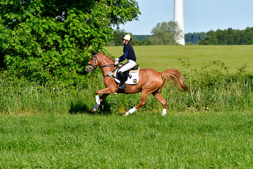 Goldene Schärpe Ponys in Hohen Luckow 1-4.6.23 | 04062023 Viola Ahlf - Feine Perle_09 