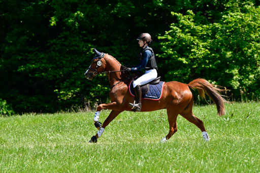 Goldene Schärpe Ponys in Hohen Luckow 1-4.6.23 | 040620923 Maily Jane Borzym - Nexus_06 