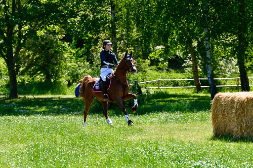 Goldene Schärpe Ponys in Hohen Luckow 1-4.6.23 | 040620923 Maily Jane Borzym - Nexus_12 