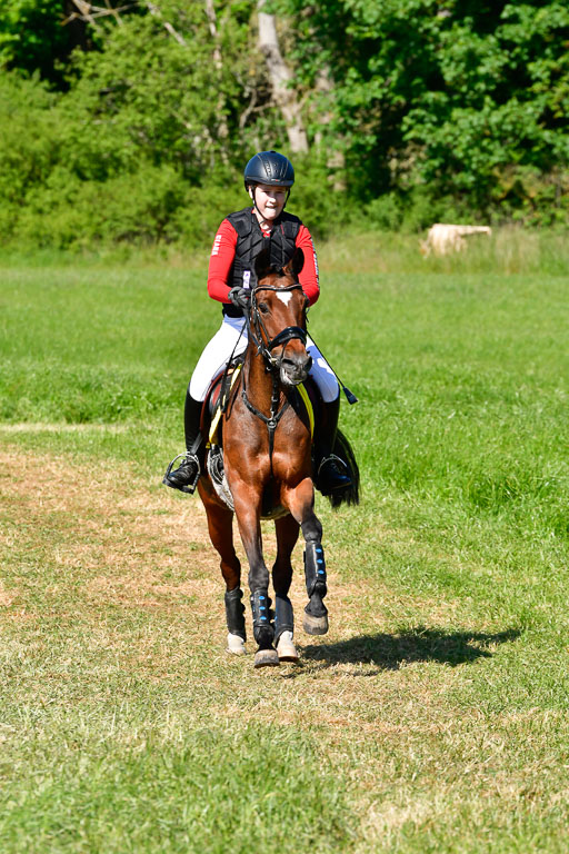 Goldene Schärpe Ponys in Hohen Luckow 1-4.6.23 | Clara Wrehde - Copa Cabano 