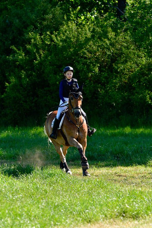 Goldene Schärpe Ponys in Hohen Luckow 1-4.6.23 | Hanna Balcarek - Gordi_01 