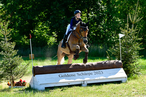Goldene Schärpe Ponys in Hohen Luckow 1-4.6.23 | Hanna Balcarek - Gordi_02 