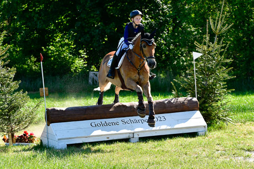 Goldene Schärpe Ponys in Hohen Luckow 1-4.6.23 | Hanna Balcarek - Gordi_03 