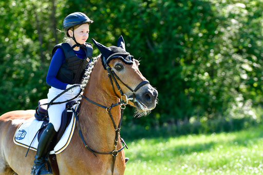 Goldene Schärpe Ponys in Hohen Luckow 1-4.6.23 | Hanna Balcarek - Gordi_04 