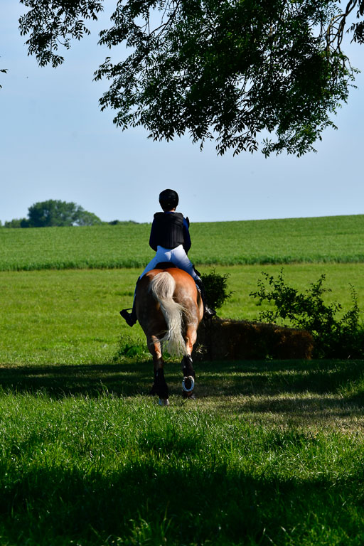 Goldene Schärpe Ponys in Hohen Luckow 1-4.6.23 | Hanna Balcarek - Gordi_07 