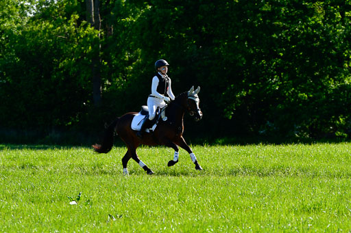 Goldene Schärpe Ponys in Hohen Luckow 1-4.6.23 | Johanna Waydelin - Goldfee_04 