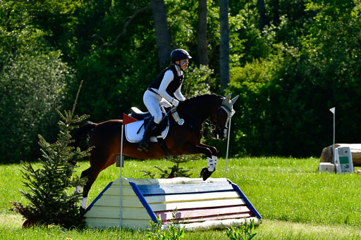 Goldene Schärpe Ponys in Hohen Luckow 1-4.6.23 | Johanna Waydelin - Goldfee_06 