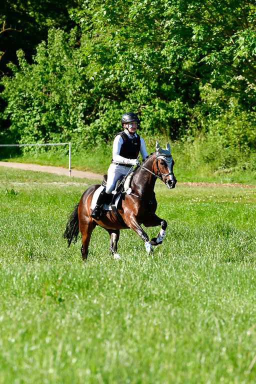 Goldene Schärpe Ponys in Hohen Luckow 1-4.6.23 | Johanna Waydelin - Goldfee_08 