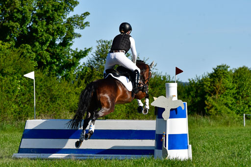 Goldene Schärpe Ponys in Hohen Luckow 1-4.6.23 | Johanna Waydelin - Goldfee_11 