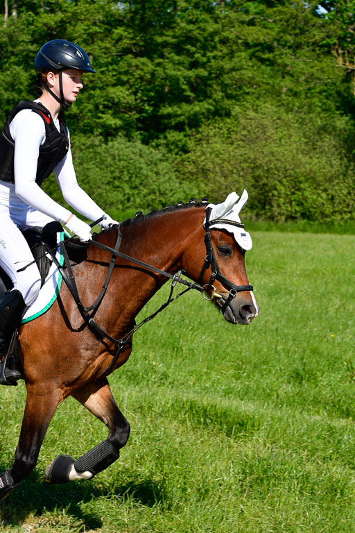 Goldene Schärpe Ponys in Hohen Luckow 1-4.6.23 | Jolina Gladigau - Desperado_08 