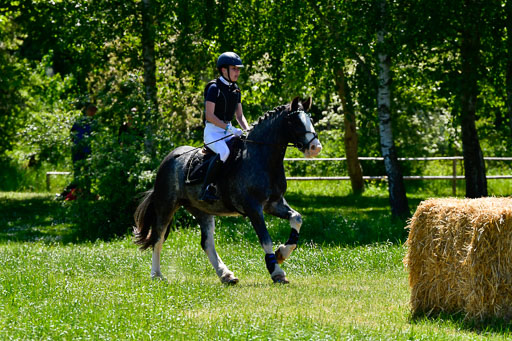 Goldene Schärpe Ponys in Hohen Luckow 1-4.6.23 | Lena Schlüter - Luna_11 