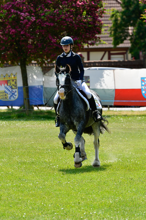 Goldene Schärpe Ponys in Hohen Luckow 1-4.6.23 | Lena Schlüter - Luna_23 
