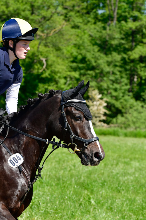 Goldene Schärpe Ponys in Hohen Luckow 1-4.6.23 | Mette Tölner - Barkadi_03 