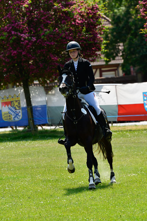 Goldene Schärpe Ponys in Hohen Luckow 1-4.6.23 | Mette Tölner - Barkadi_22 