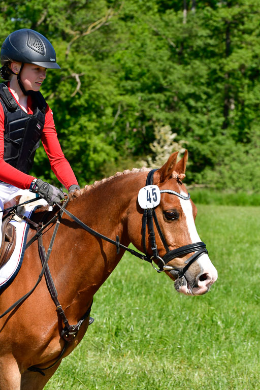 Goldene Schärpe Ponys in Hohen Luckow 1-4.6.23 | _UGO5996 