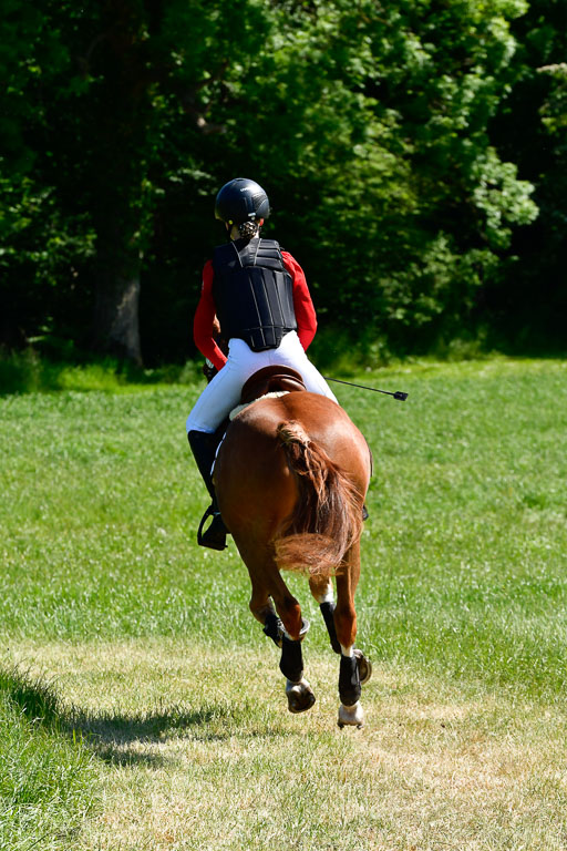 Goldene Schärpe Ponys in Hohen Luckow 1-4.6.23 | _UGO5997 
