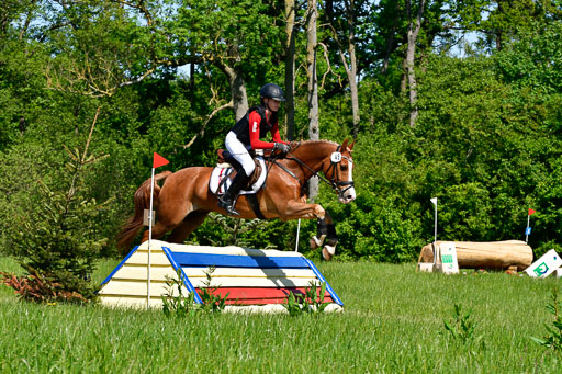 Goldene Schärpe Ponys in Hohen Luckow 1-4.6.23 | _UGO6006 