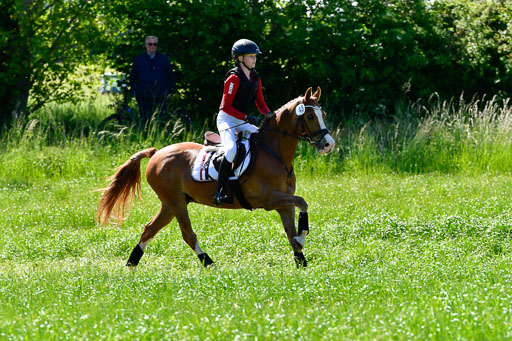 Goldene Schärpe Ponys in Hohen Luckow 1-4.6.23 | _UGO6011 