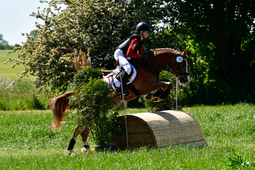 Goldene Schärpe Ponys in Hohen Luckow 1-4.6.23 | _UGO6012 