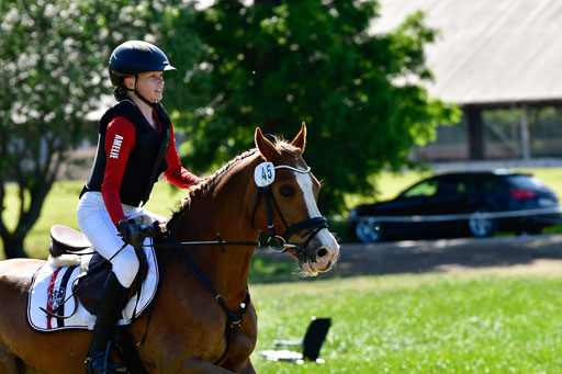 Goldene Schärpe Ponys in Hohen Luckow 1-4.6.23 | _UGO6022 