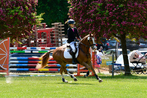 Goldene Schärpe Ponys in Hohen Luckow 1-4.6.23 | _UGO9645 
