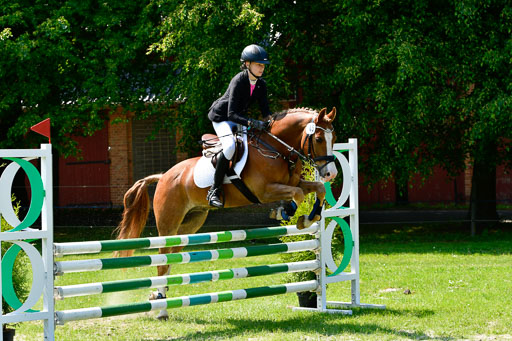 Goldene Schärpe Ponys in Hohen Luckow 1-4.6.23 | _UGO9650 