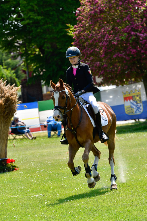 Goldene Schärpe Ponys in Hohen Luckow 1-4.6.23 | _UGO9653 