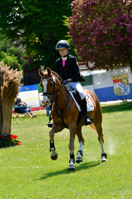 Goldene Schärpe Ponys in Hohen Luckow 1-4.6.23 | _UGO9654 